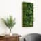 20" x 40" Framed Costa Rican Forest Artificial Living Wall Art Panel